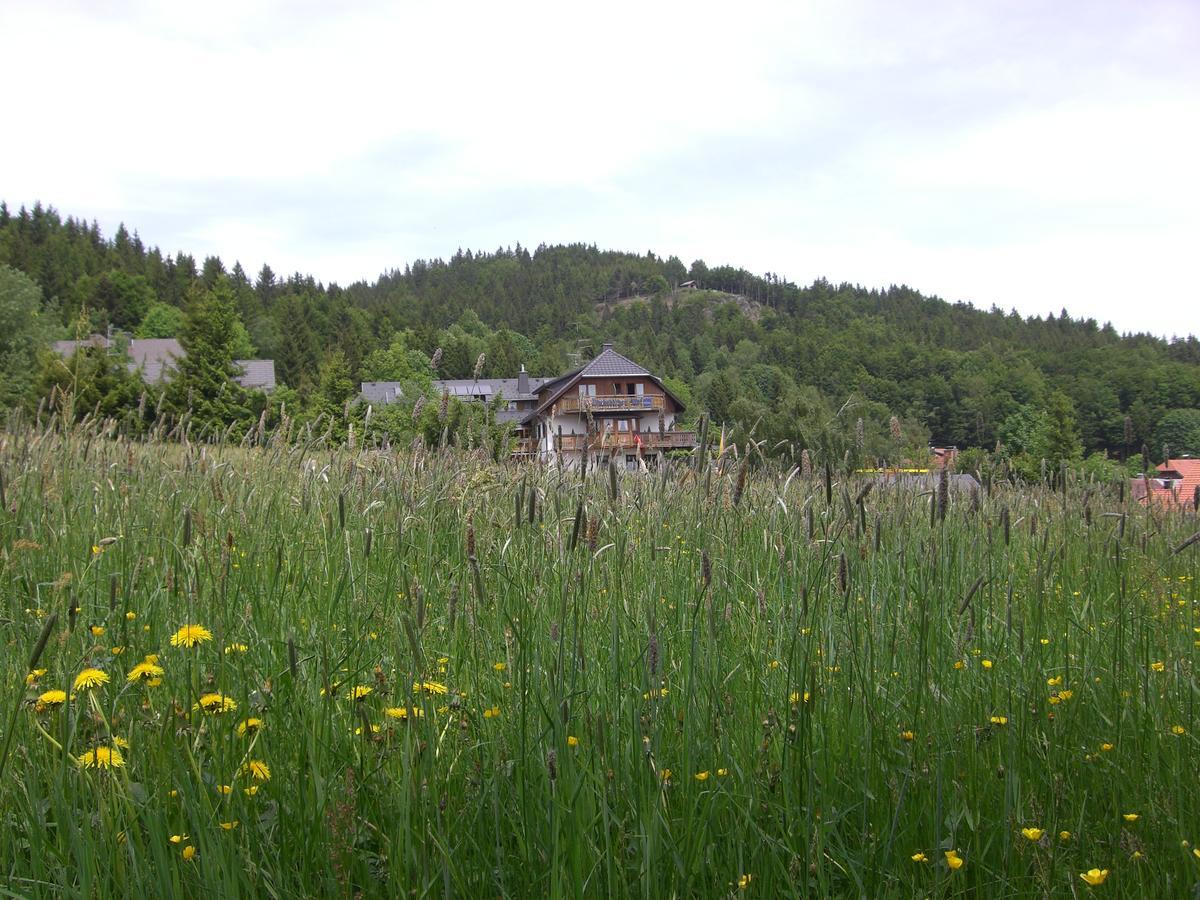 Hotel Dachsberger-Hof Wittenschwand Exterior foto